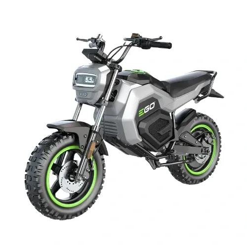Ego Power Electric Bike